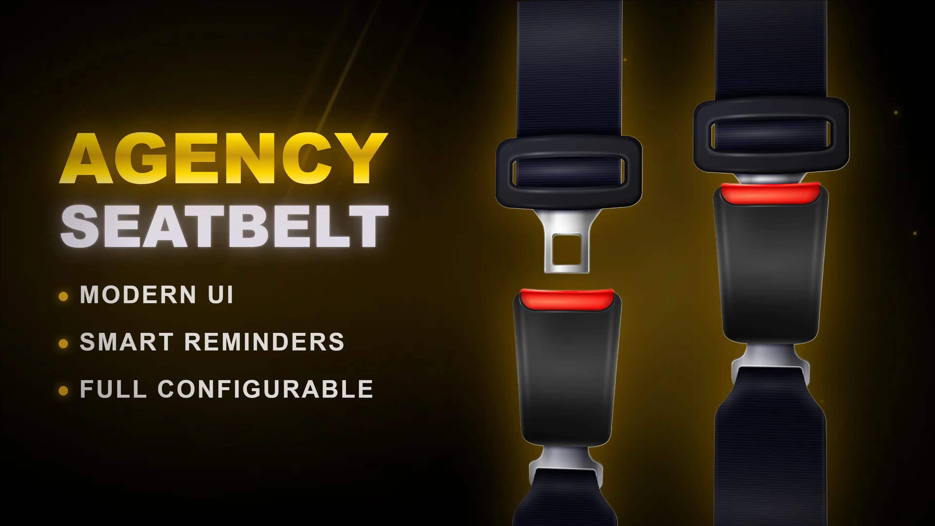 Agency-Seatbelt